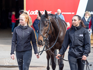 DS110422-110 - Dan Skelton Stable Visit